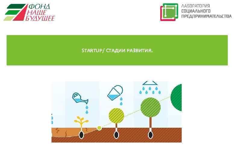 STARTUP/ СТАДИИ РАЗВИТИЯ. 