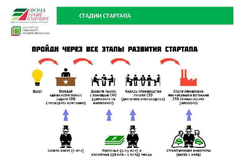 СТАДИИ СТАРТАПА 24 