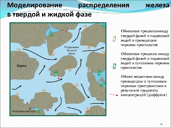 Моделирование распределения в твердой и жидкой фазе железа Обменные процессымежду твердой фазой и подземной