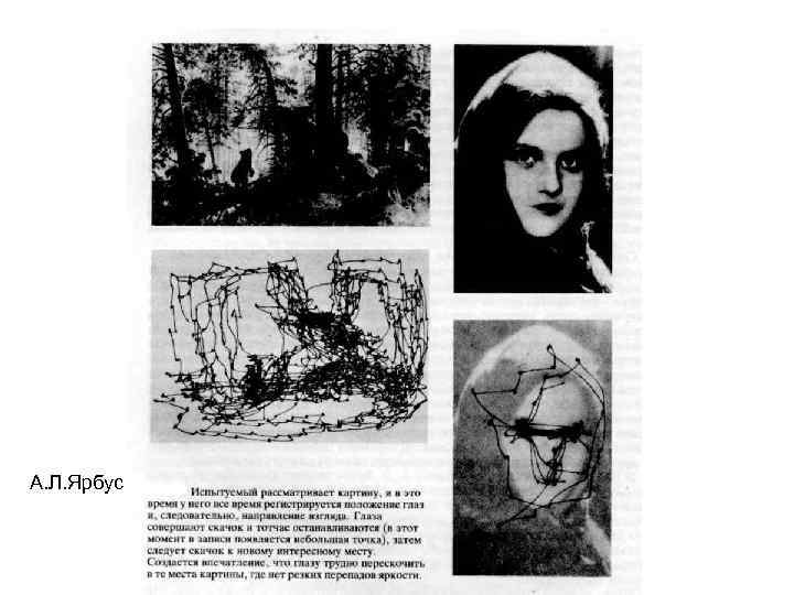 А. Л. Ярбус 