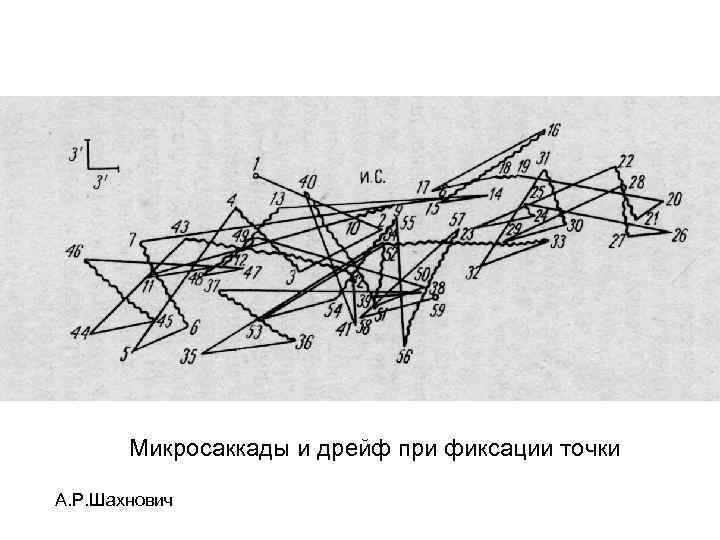 Микросаккады и дрейф при фиксации точки А. Р. Шахнович 