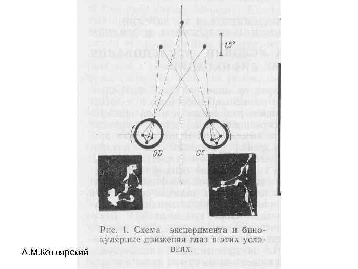 А. М. Котлярский 