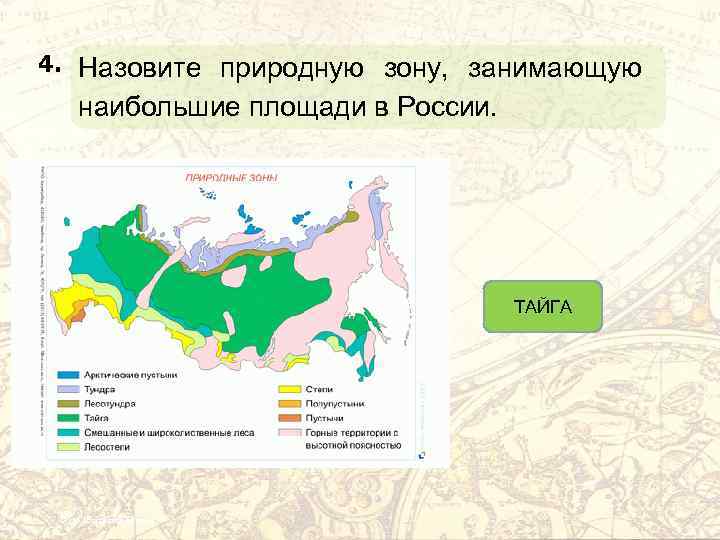 4. Назовите природную зону, занимающую наибольшие площади в России. ТАЙГА Фото: Виталий Берков 