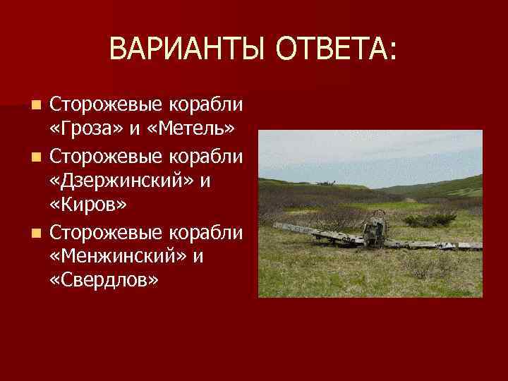 ВАРИАНТЫ ОТВЕТА: Сторожевые корабли «Гроза» и «Метель» n Сторожевые корабли «Дзержинский» и «Киров» n