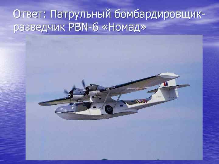 Ответ: Патрульный бомбардировщикразведчик PBN-6 «Номад» 