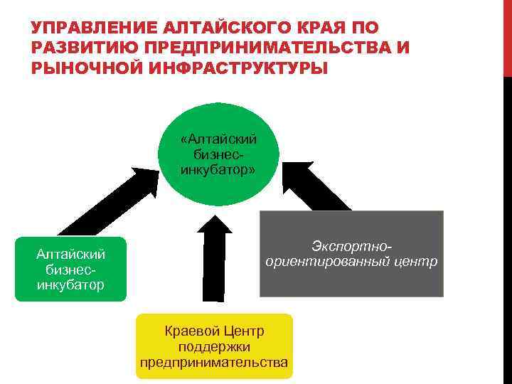 Сайт предпринимательства алтайского края