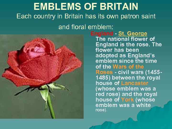 EMBLEMS OF BRITAIN Each country in Britain has its own patron saint and floral