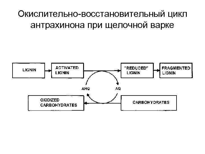 Окислительно-восстановительный цикл антрахинона при щелочной варке 