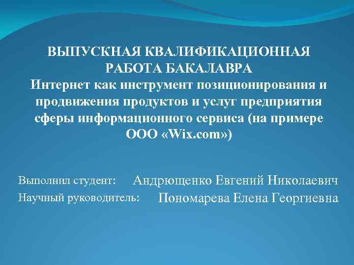 ВЫПУСКНАЯ КВАЛИФИКАЦИОННАЯ РАБОТА БАКАЛАВРА Интернет как инструмент позиционирования и продвижения продуктов и услуг предприятия