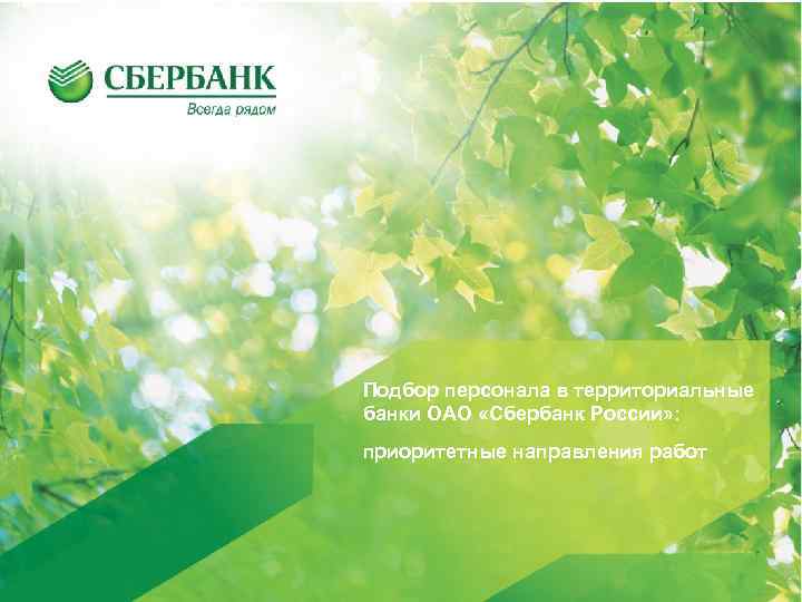Подбор персонала в территориальные банки ОАО «Сбербанк России» : приоритетные направления работ 76 