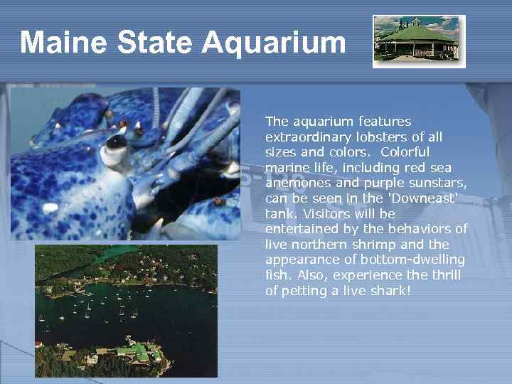 Maine State Aquarium The aquarium features extraordinary lobsters of all sizes and colors. Colorful