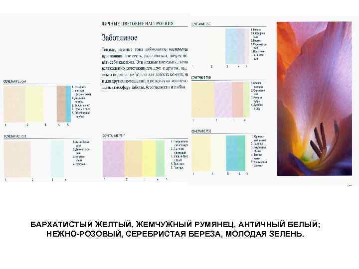 БАРХАТИСТЫЙ ЖЕЛТЫЙ, ЖЕМЧУЖНЫЙ РУМЯНЕЦ, АНТИЧНЫЙ БЕЛЫЙ; НЕЖНО-РОЗОВЫЙ, СЕРЕБРИСТАЯ БЕРЕЗА, МОЛОДАЯ ЗЕЛЕНЬ. 