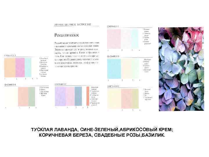 ТУСКЛАЯ ЛАВАНДА, СИНЕ-ЗЕЛЕНЫЙ, АБРИКОСОВЫЙ КРЕМ; КОРИЧНЕВАЯ БЕРЕЗА, СВАДЕБНЫЕ РОЗЫ, БАЗИЛИК. 