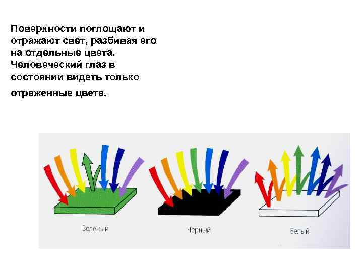 Поверхности поглощают и отражают свет, разбивая его на отдельные цвета. Человеческий глаз в состоянии