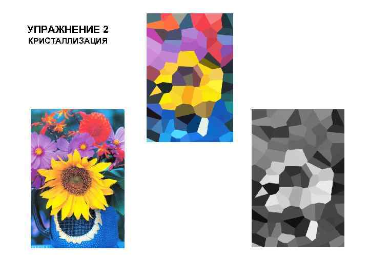 УПРАЖНЕНИЕ 2 КРИСТАЛЛИЗАЦИЯ 