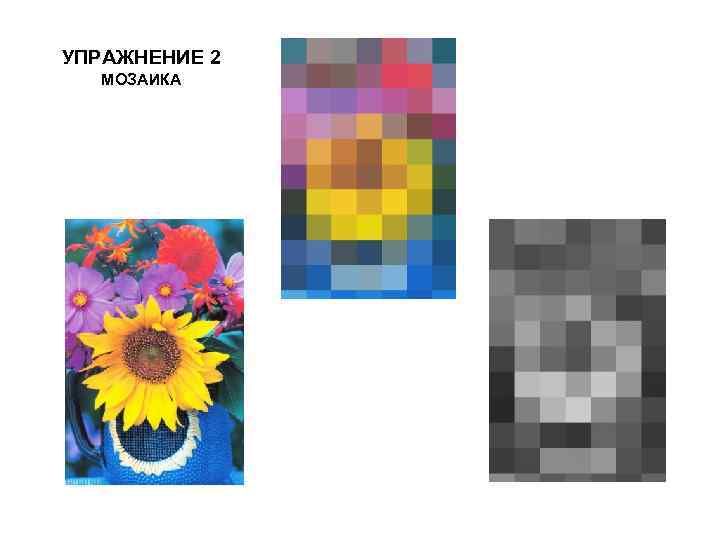 УПРАЖНЕНИЕ 2 МОЗАИКА 