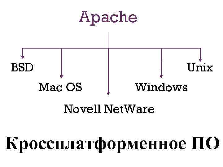 Apache BSD 3 Unix Mac OS Windows Novell Net. Ware Кроссплатформенное ПО 