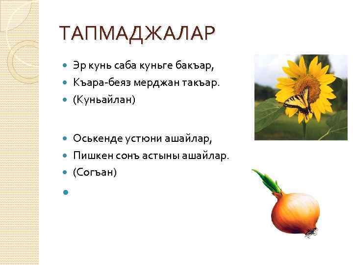 ТАПМАДЖАЛАР Эр кунь саба куньге бакъар, Къара-беяз мерджан такъар. (Куньайлан) Оськенде устюни ашайлар, Пишкен