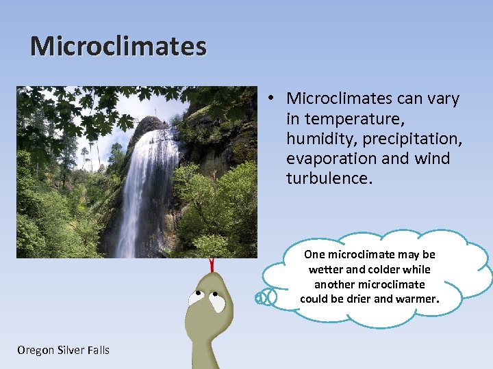 Microclimates • Microclimates can vary in temperature, humidity, precipitation, evaporation and wind turbulence. One