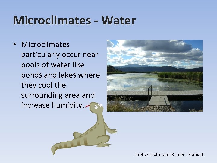 Microclimates - Water • Microclimates particularly occur near pools of water like ponds and