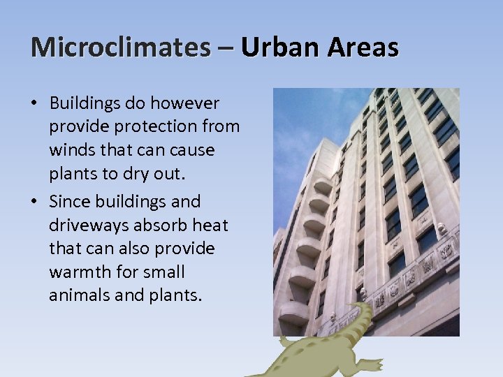 Microclimates – Urban Areas • Buildings do however provide protection from winds that can