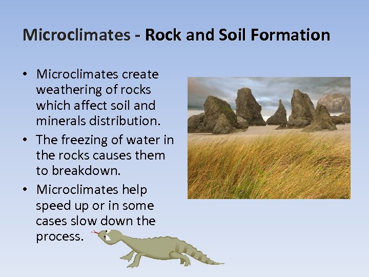 Microclimates - Rock and Soil Formation • Microclimates create weathering of rocks which affect