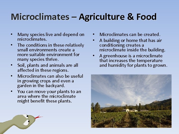 Microclimates – Agriculture & Food • Many species live and depend on microclimates. •