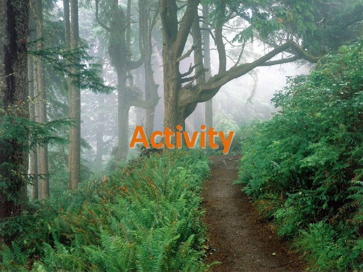 Activity 