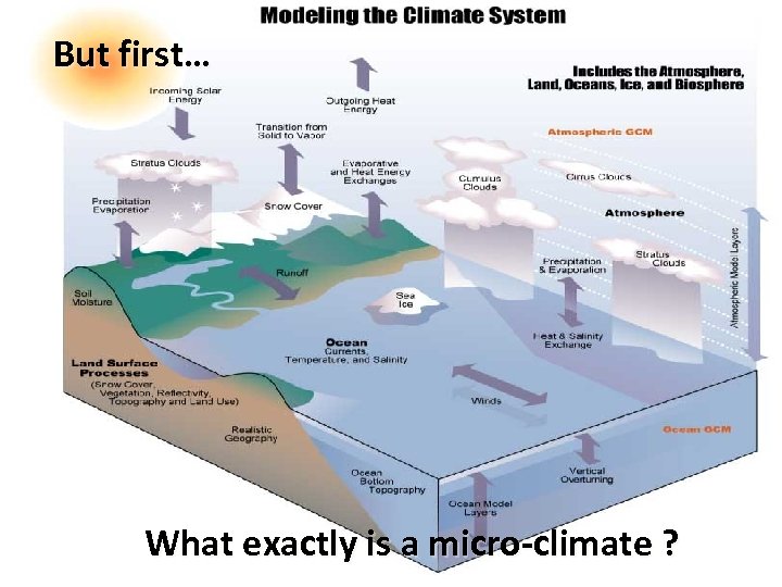 But first… What exactly is a micro-climate ? 