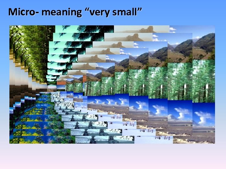 Micro- meaning “very small” 