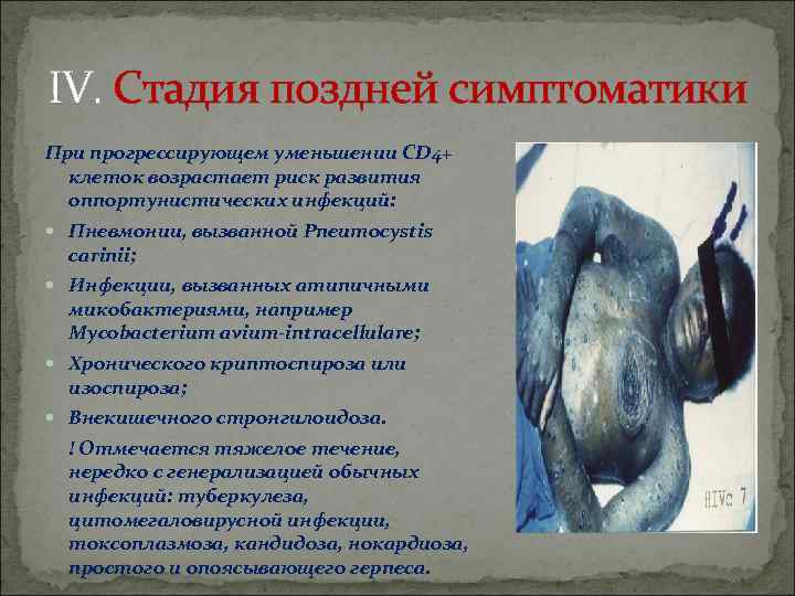 IV. Стадия поздней симптоматики При прогрессирующем уменьшении CD 4+ клеток возрастает риск развития оппортунистических