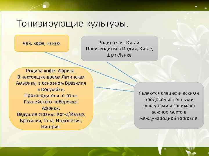 Тонизирующие культуры. Чай, кофе, какао. Родина чая- Китай. Производится в Индии, Китае, Шри-Ланке. Родина