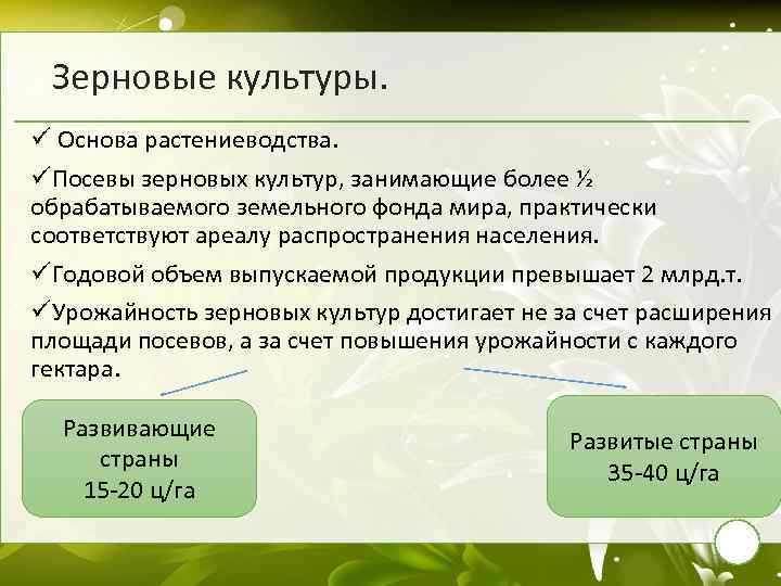 Зерновые культуры. ü Основа растениеводства. üПосевы зерновых культур, занимающие более ½ обрабатываемого земельного фонда