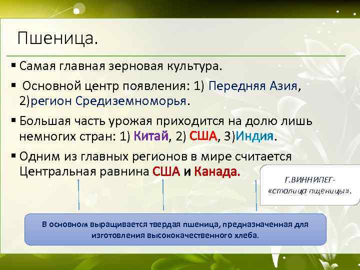 Пшеница. § Самая главная зерновая культура. § Основной центр появления: 1) Передняя Азия, 2)регион