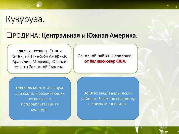 Кукуруза. q. РОДИНА: Центральная и Южная Америка. Главные страны: США и Китай, в Латинской