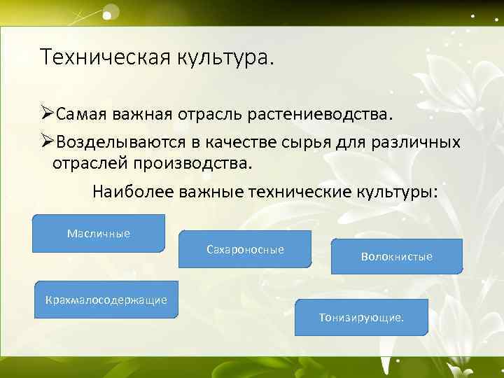 Техническая культура. ØСамая важная отрасль растениеводства. ØВозделываются в качестве сырья для различных отраслей производства.
