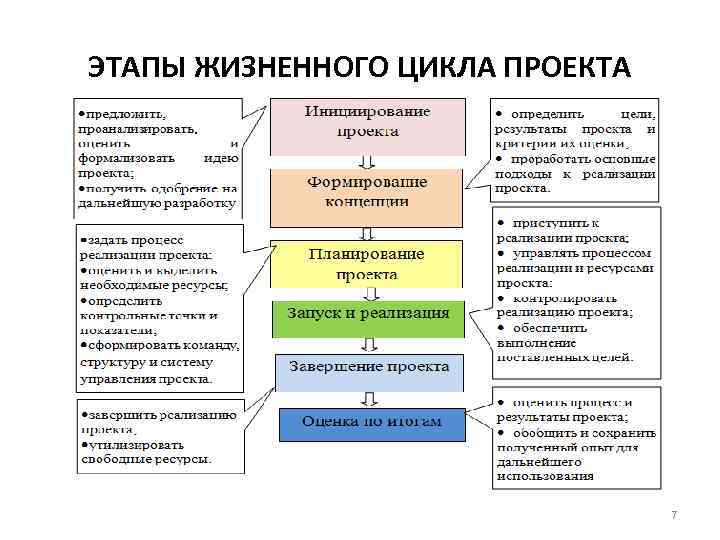 ЭТАПЫ ЖИЗНЕННОГО ЦИКЛА ПРОЕКТА 7 