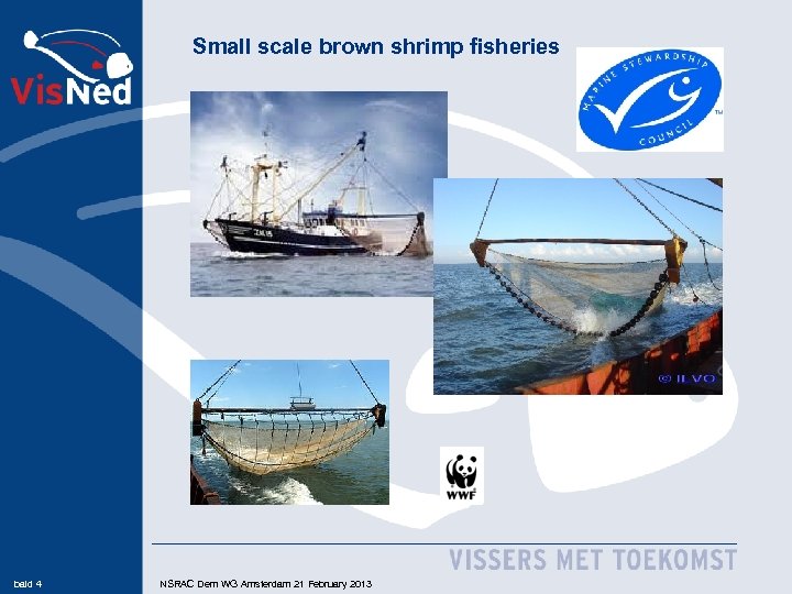 Small scale brown shrimp fisheries bald 4 NSRAC Dem WG Amsterdam 21 February 2013