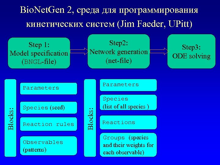 Bio. Net. Gen 2, среда для программирования кинетических систем (Jim Faeder, UPitt) Step 1: