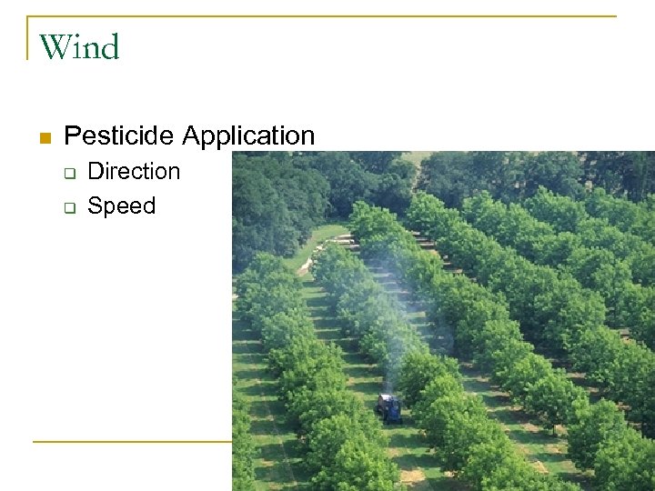 Wind n Pesticide Application q q Direction Speed 