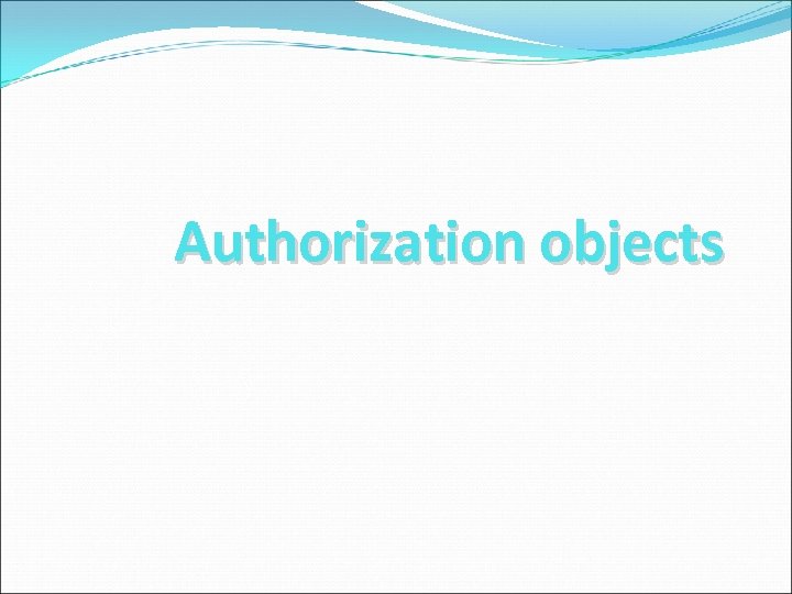 Authorization objects 