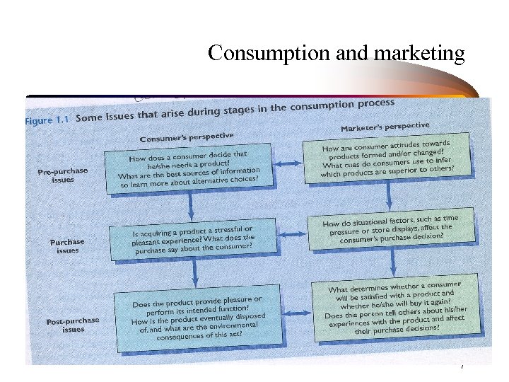 Consumption and marketing 7 