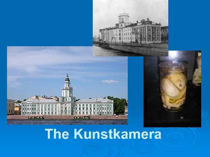 The Kunstkamera 