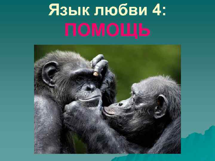 Язык любви 4: ПОМОЩЬ 