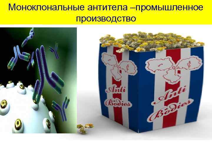 Моноклональные антитела –промышленное производство 