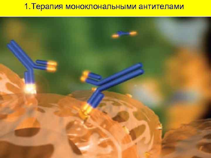 1. Терапия моноклональными антителами 