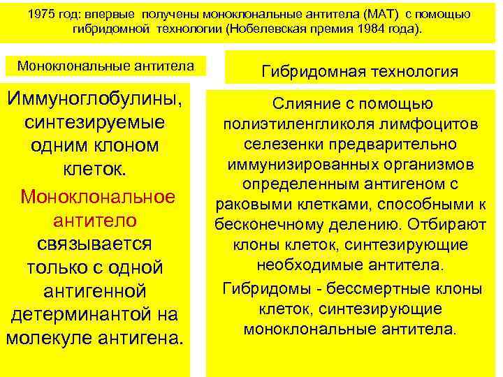 1975 год: впервые получены моноклональные антитела (МАТ) с помощью гибридомной технологии (Нобелевская премия