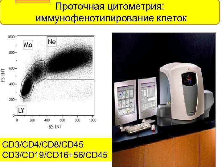 Проточная цитометрия: иммунофенотипирование клеток CD 3/CD 4/CD 8/CD 45 CD 3/CD 19/CD 16+56/CD 45