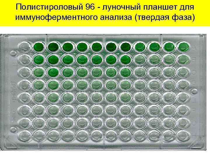 Полистироловый 96 - луночный планшет для иммуноферментного анализа (твердая фаза) 