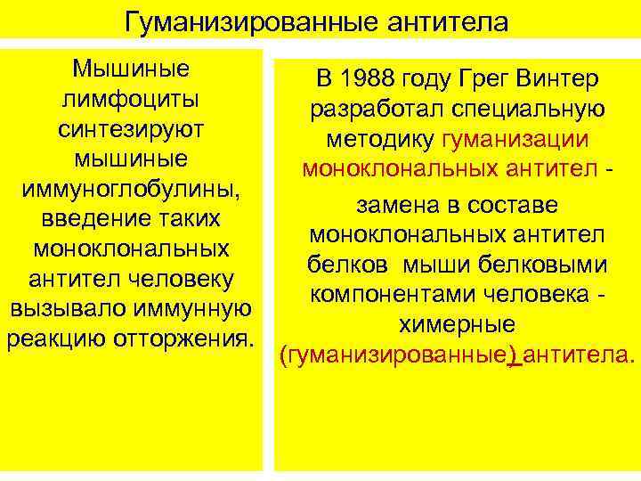 Гуманизированные антитела Мышиные лимфоциты синтезируют мышиные иммуноглобулины, введение таких моноклональных антител человеку вызывало иммунную